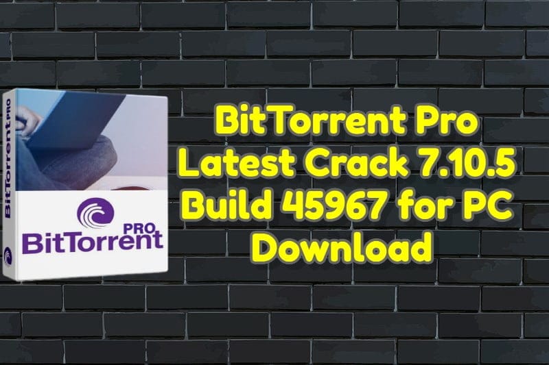 instal BitTorrent Pro 7.11.0.46829